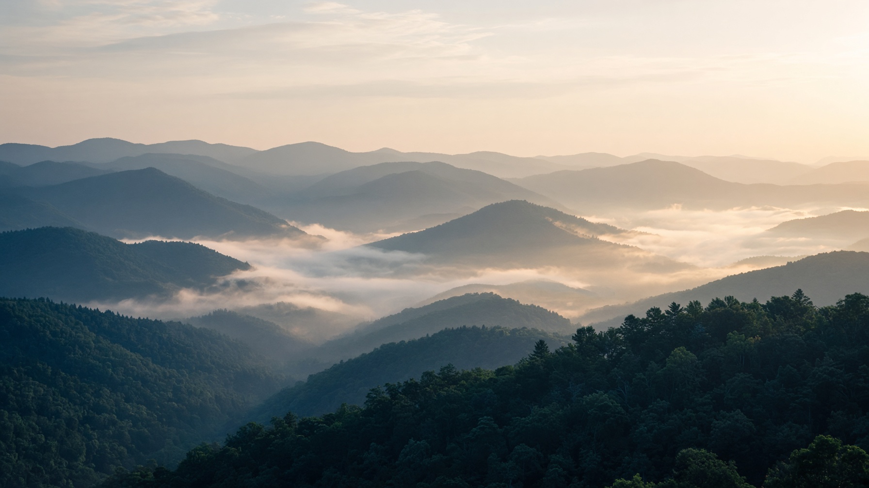 Morning mist in the Blue Ridge near Charlottesville